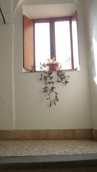 Casa Maria E Casa Cristina Apartment Orvieto Ngoại thất bức ảnh